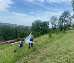 Na katedře zoologie se školí budoucí experti na monitoring opylovačů